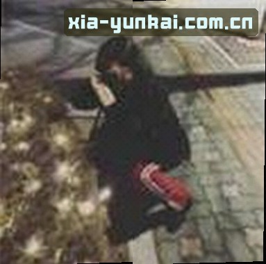 郑丽